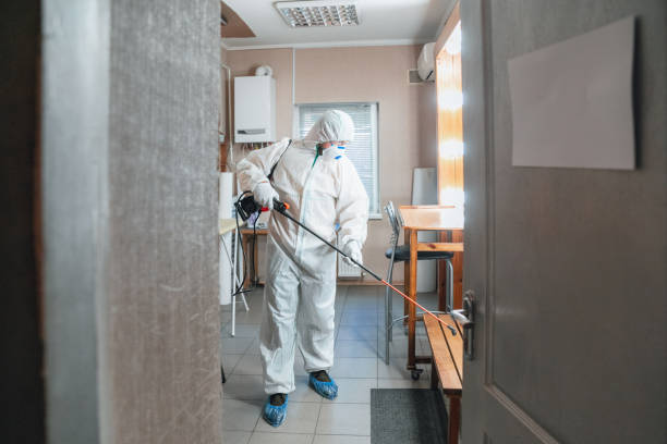 Reliable Brook Highland, AL Mold Removal Solutions