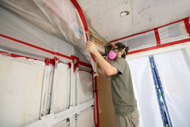 Best Mold Prevention Services  in Brook Highland, AL