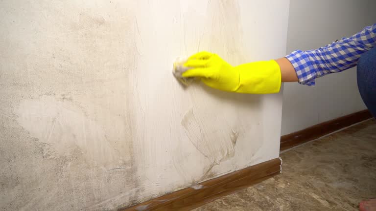 Mold Removal for HVAC Installations in Brook Highland, AL